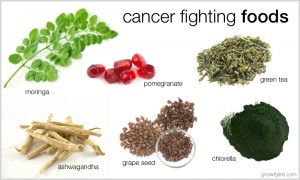 Food-Fight-Against-Cancer-