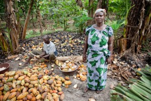 cocoa farmer woman forifori