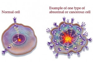 nomal-vs-cancer
