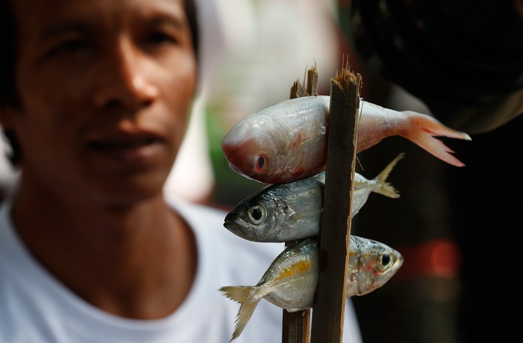 4 February, 2016: A local fisherman holds fishes during a protest to demand the increase of their fishing limits outside the Ministry of Agriculture and Cooperatives in Bangkok, ThailandChaiwat Subprasom/ Reuters