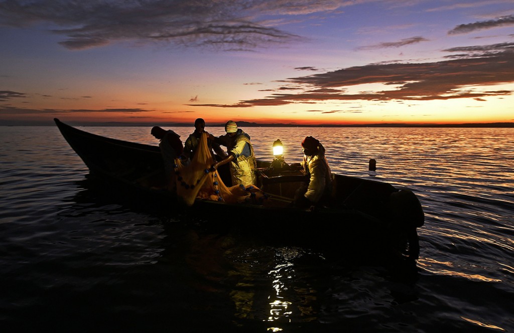 3 March 2016: Kenyan fisherman pull up their nets in the early morning as they fish on Lake VictoriaCarl De Souza/ AFP