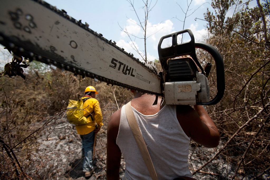 18 April 2011: An employee of the National Forestry Commission carries a chainsaw in a burnt area near Cancun, Mexico (Gerardo Garcia/ Reuters)