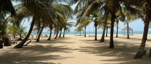 Coconut-Beach