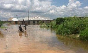 Flood-Destroyed-Rice-Farms-in-Nigeria-300x183