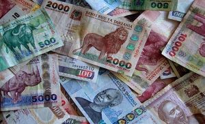 Tanzanian Money