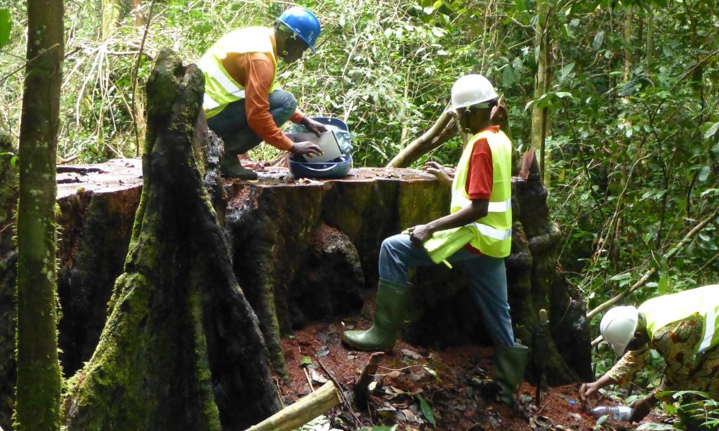 Local people can use mapping software to report illegal activities in the Cameroon rainforest. Photograph: FODER