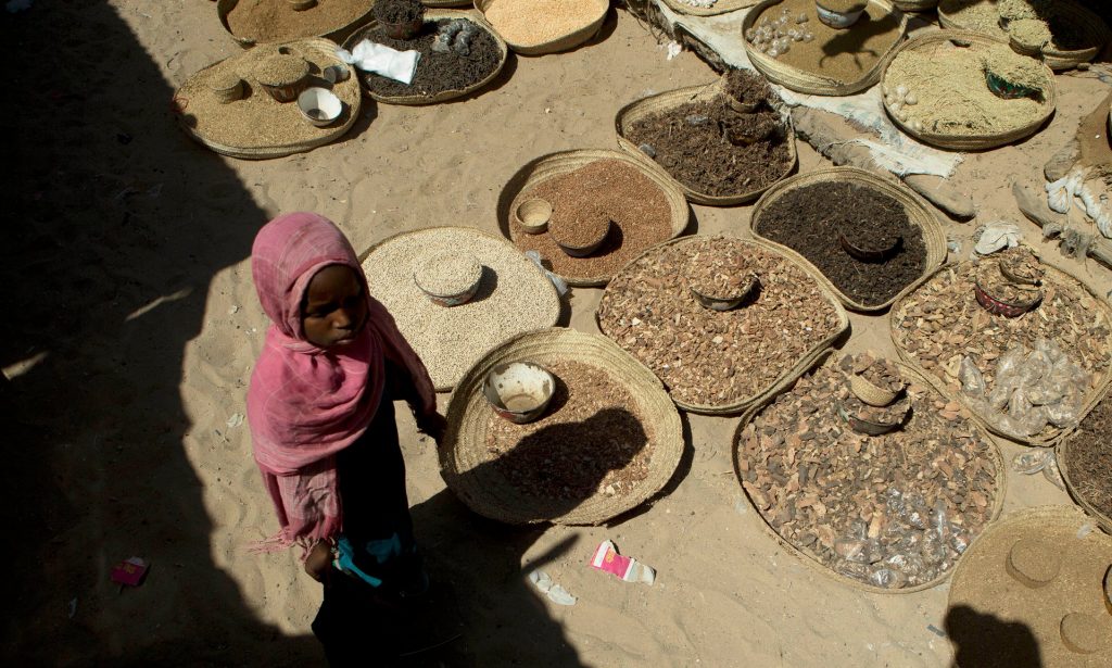 A girl walks past spices displayed for sale in a market in Mao, in the Kanem region of Chad. Women in Chad have an average of six children each. Photograph: Rebecca Blackwell/AP