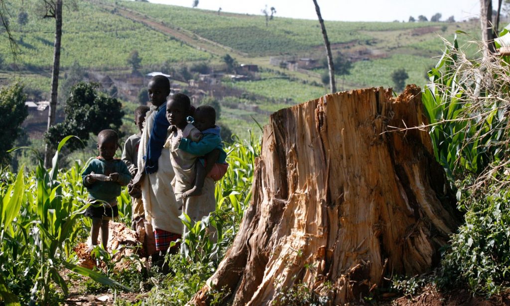 Ogiek people by a tree stump in the Mau forest. Kenya’s attempts to protect its forests are undermining the rights of indigenous people living on the land. Photograph: Thomas Mukoya/Reuters 