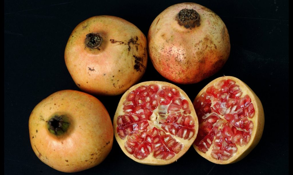 Pomegranates. Photograph: Sarah Lee for the Guardian