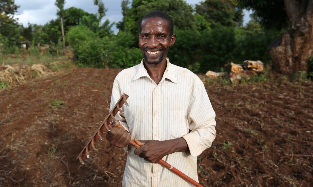 Trials of drought-resistant seeds, funded by the Gates Foundation, have shown yield increases. Photograph: Farm Africa