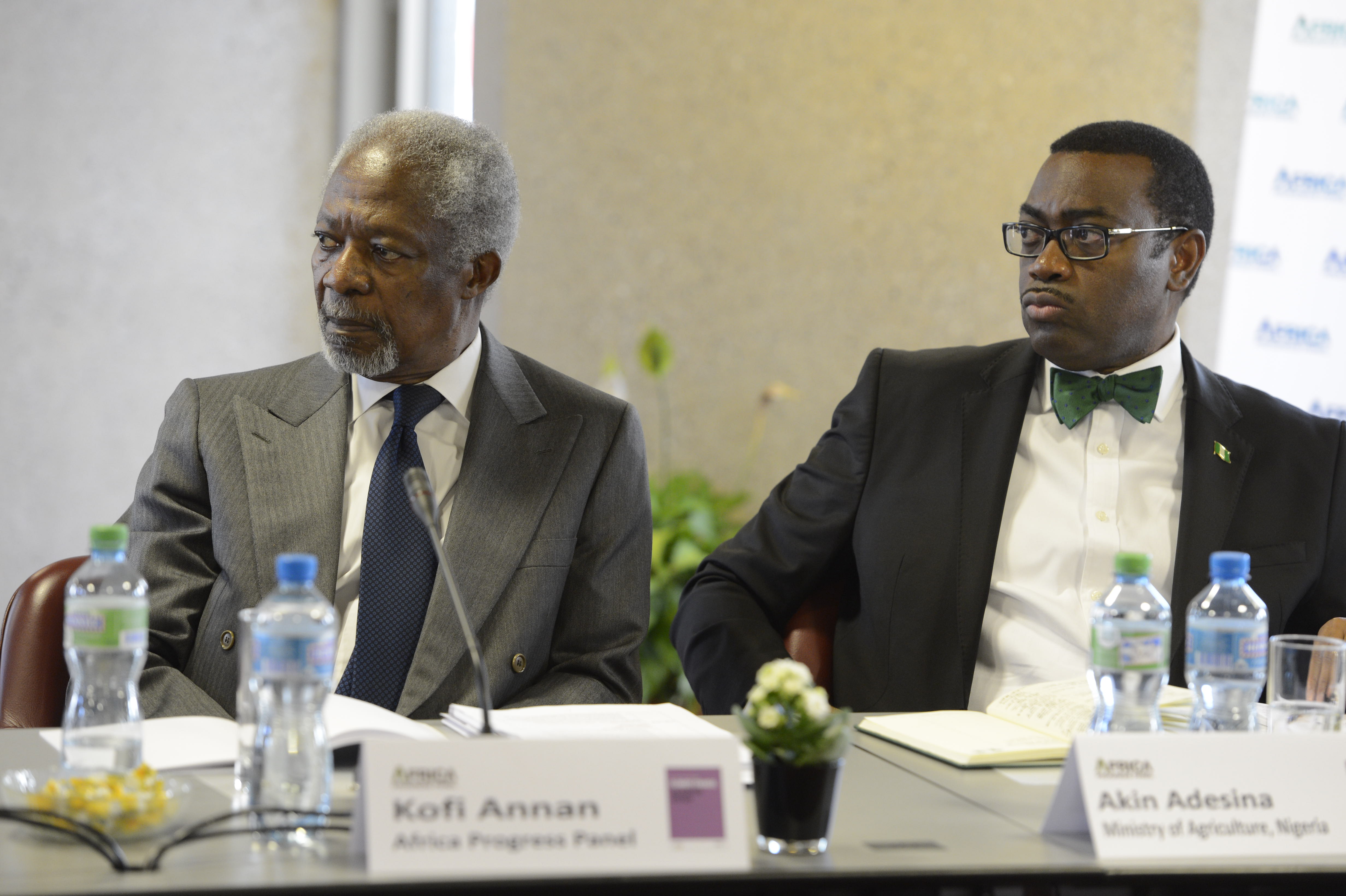 Kofi_Annan_&_Akinwumi_Adesina