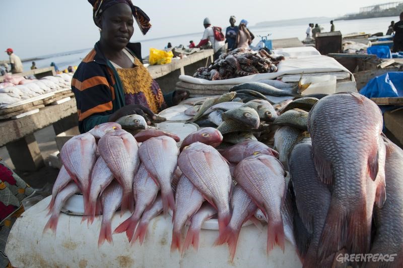Woman at Soumbedioune fish market. Greenpeace is campaigning in West Africa for the establishment of a sustainable, low impact fisheries policy that takes into account the needs and interests of small-scale fishermen and the local communities that depend on healthy oceans.