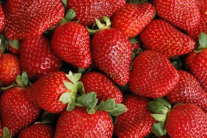 Fresh Ripe Strawberries 