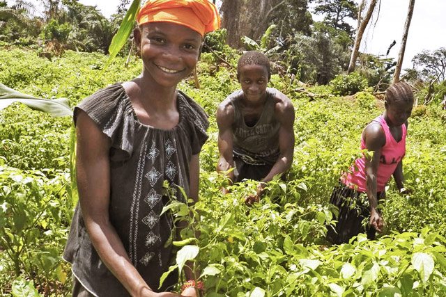 liberia-farmers