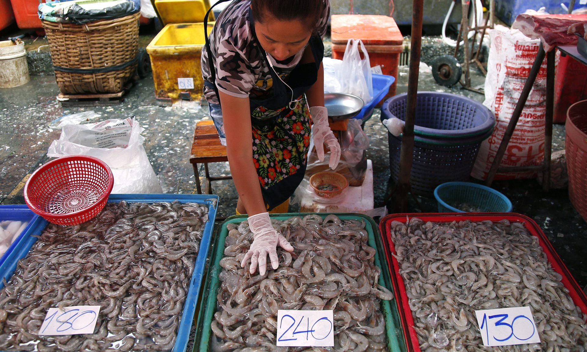 Cambodia-Shrimp