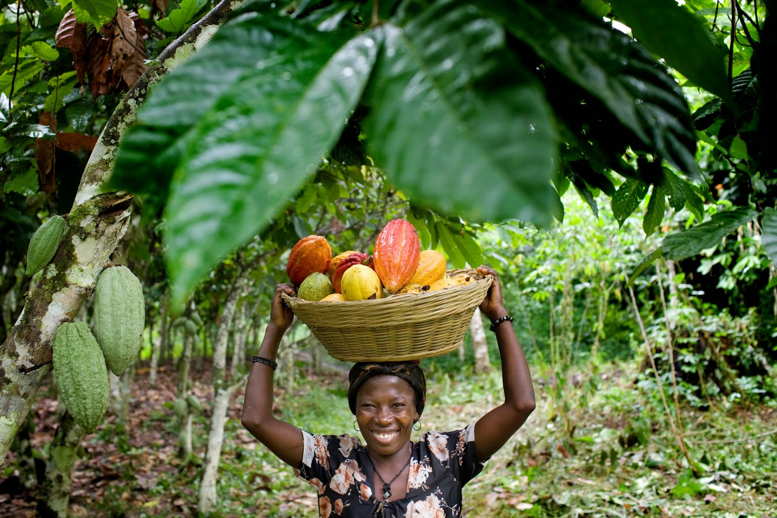 cocoa-farmer-woman-ghana