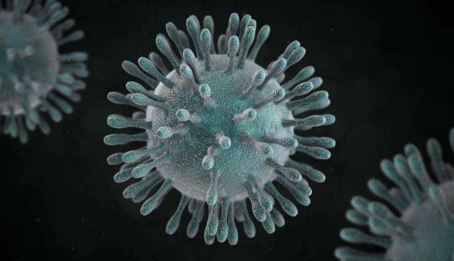 corona virus 2