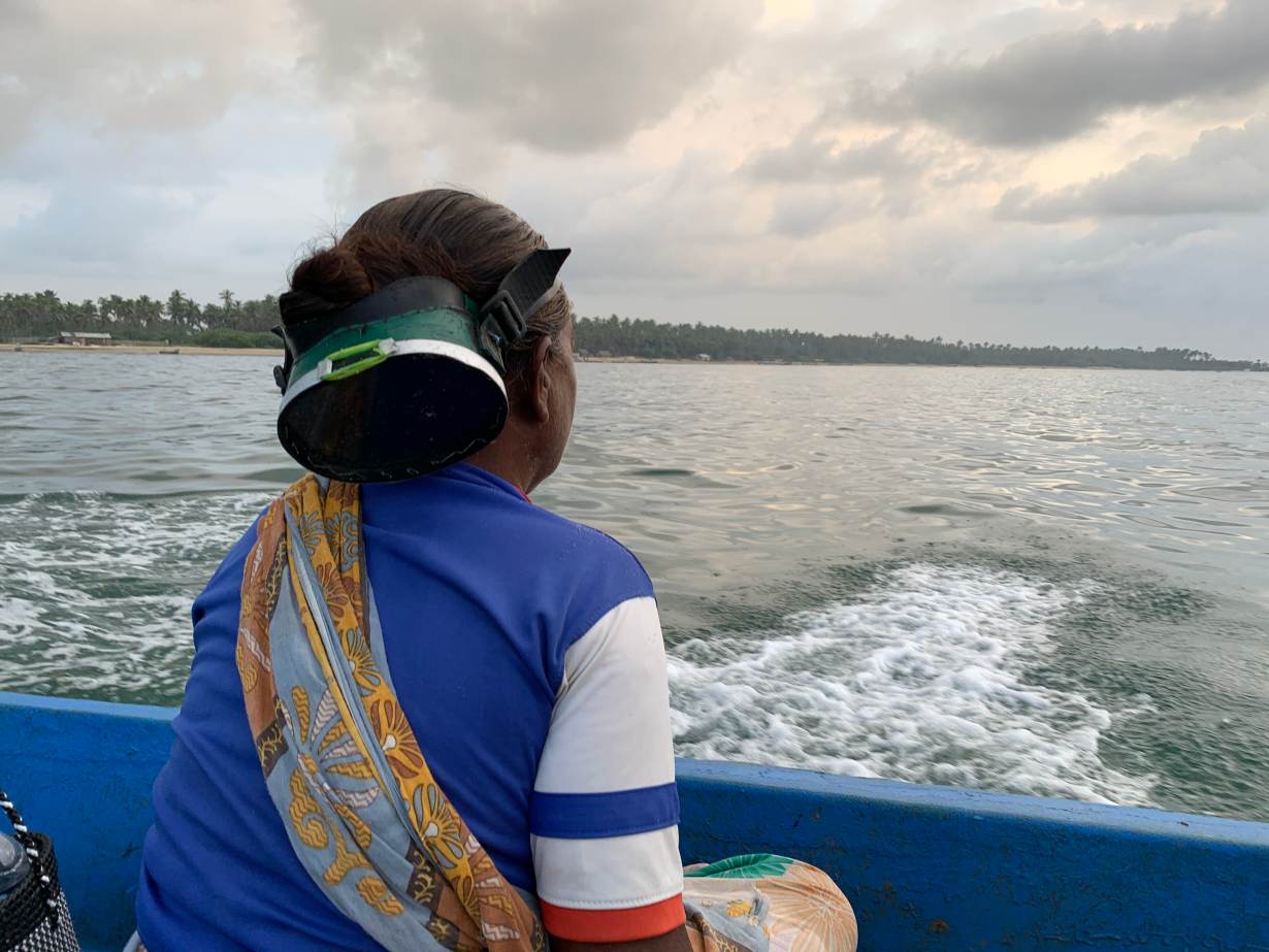 India's Women Seaweed Divers Swim Against The Tide Of Climate Change